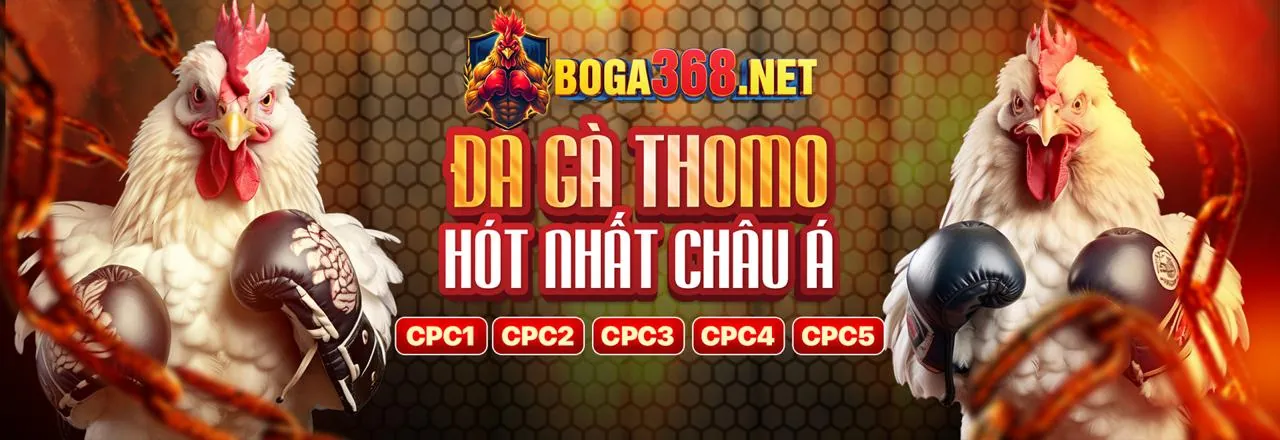 Hình ảnh chính về Tuân thủ GDPR của AW8